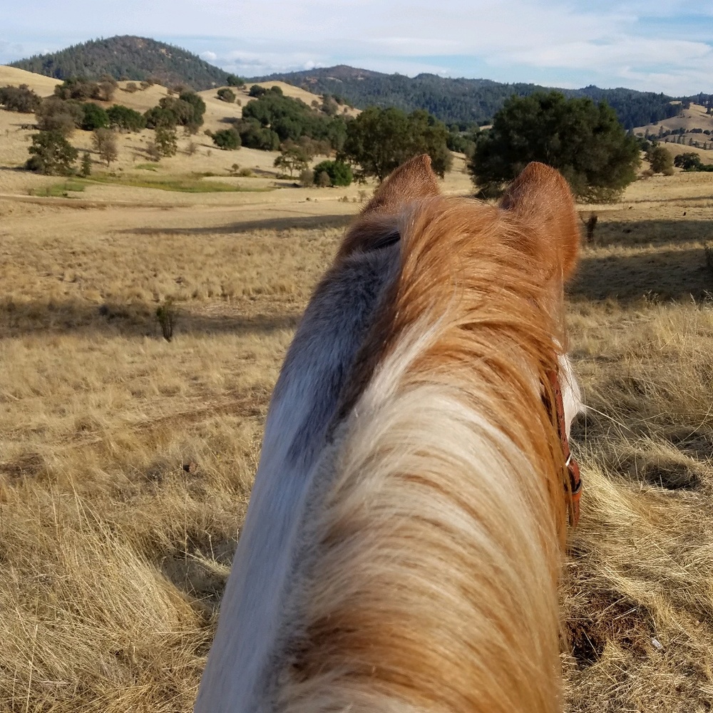 Meet your Posher, Robin